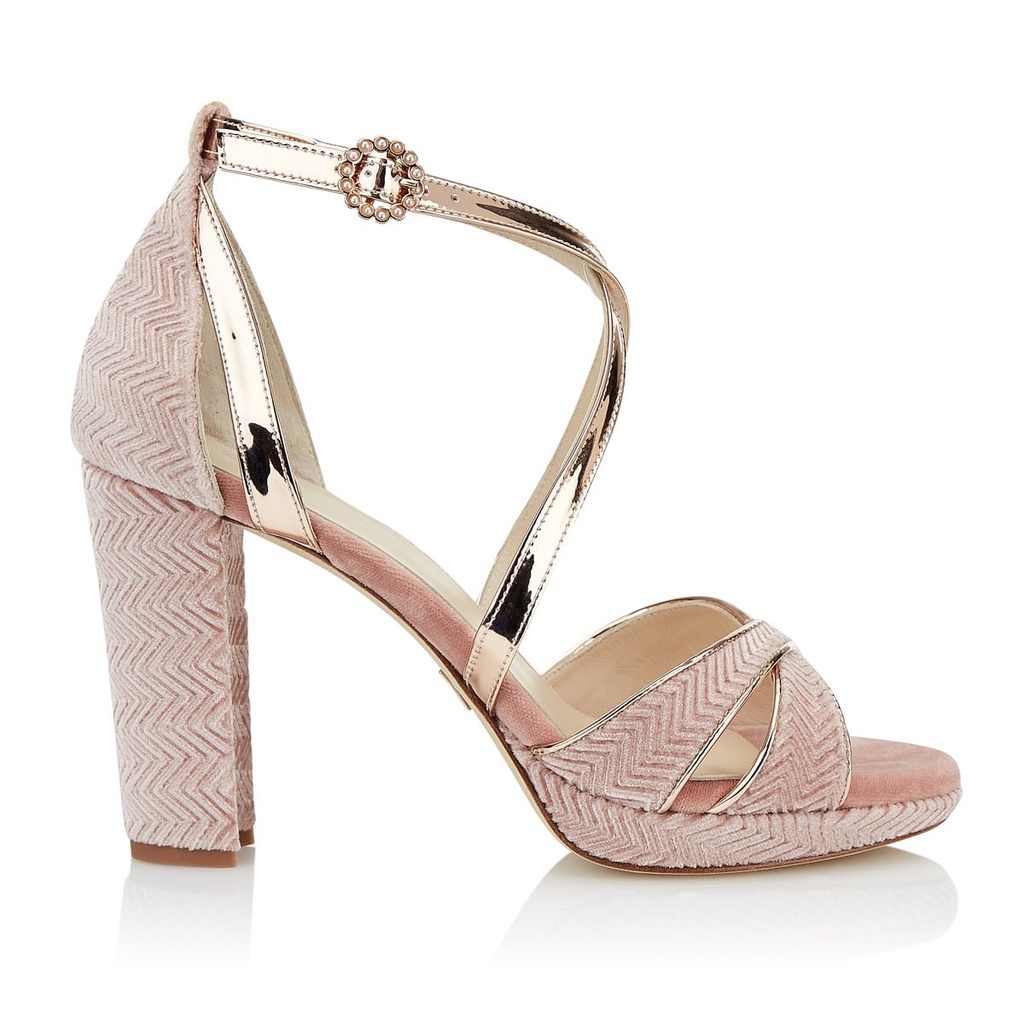 PINK ROSMARINO (9 CM)